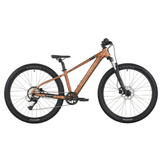 Scott Roxter 600 2026