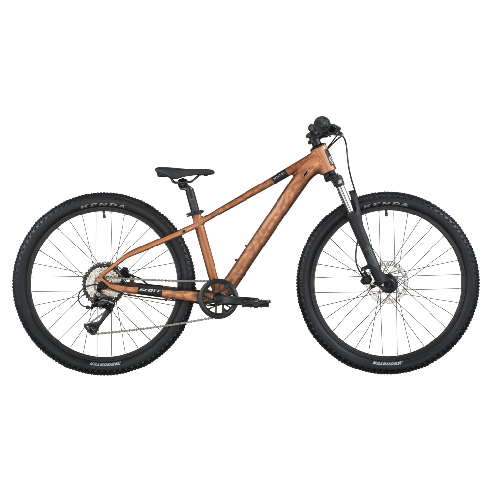Scott Roxter 600 2026